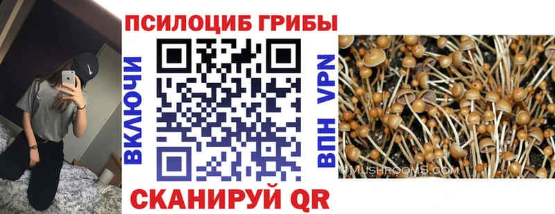Галлюциногенные грибы ЛСД  Миньяр 